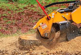 Best Lot and Land Clearing  in USA